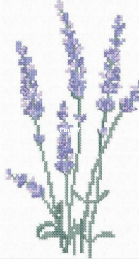 Home Atelier Studio - Lavender