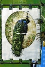Proud Peacock by Jayne Netley Mayhew from Cross Stitch Collection Issue 168 XSD