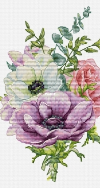 Luca-S B7017 Anemone XSD