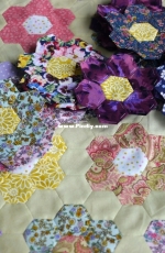 Grandmas garden quilt, 3 circles finished