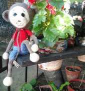 MONKEY