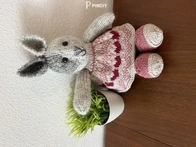 Cotton little rabbits