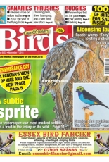 Cage & Aviary Birds - 05 November 2018