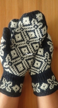 Dark Sky Mittens by Traci Scott-Free
