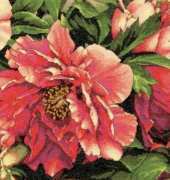 Dimensions 70-35298  Coral Peonies
