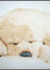 Sleeping puppy