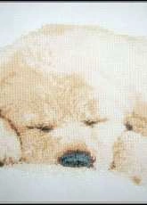Sleeping puppy