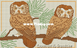Broderie.net - Grandsire Jean-Louis - 2 Chouettes