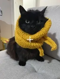 First finished project. Sophie scarf