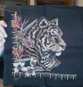 TIGER 2