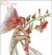 HAED HAERB301 Fushia by Rene Biertempfel