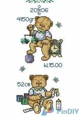 Birthrecord 0601 - Teddybear Boy