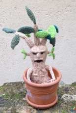 Mandrake