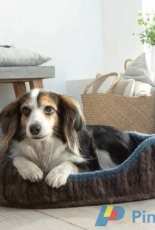 Schachenmayr F0067 - Dog Bed - Dutch and English - Free