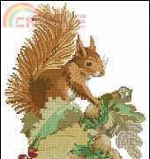 Squirrel with nuts