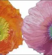 I Love CrossStitch ILCS - BB002 - Poppies XSD