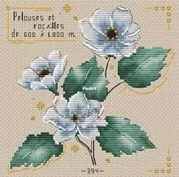 French Botany by Alexandra Orlova