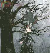 HAED HAENNT 119 Queen of Shadows by Nene Thomas XSD