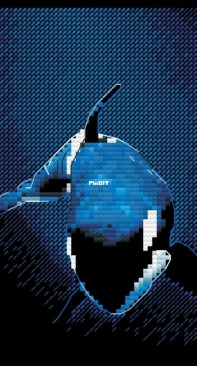 Killer Whale by Tatyana Venediktova SAGA