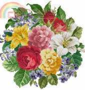 Ellen Maurer Stroh EMS 49 PCS