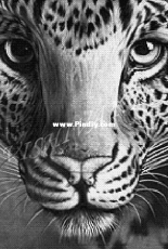Vishivay.ru 366 - Leopard
