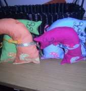 Cats Gatos