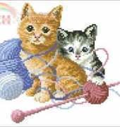 DMC-FCE0511 Cats in the Wool