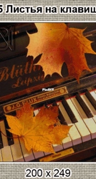 NaDiMa 015 - Leaves on the Keys