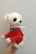 a white dog