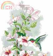 Dimensions - Sunset 13667 Hummingbird Art PCS