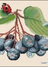 Vintage Needlework Chokeberry