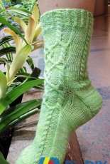 A Touch of Irish by devonshire Knots