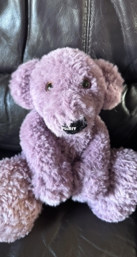 Honeyberry Bear
