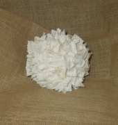 Kissing ball