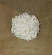 Kissing ball
