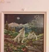 wolf