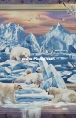 Chimera - On The Northern Ice