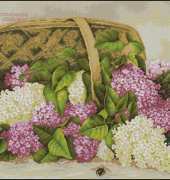 Luca-S B501 - Basket with Lilac