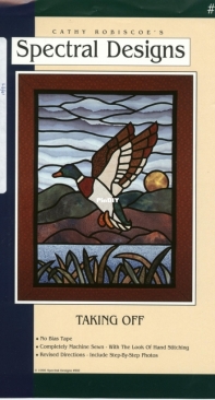 Taking Off - Cathy Robiscoes Spectral Designs