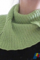 Janes Better Looking Sister Janet Shawl by Kate Paulus/Caped Crafter-English-Free