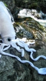 Crafty Intentions - Megan Lapp - Big Squid