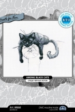 RTO M666 - Among Black Cats