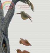 Cross Stitch Canepa - Bird Woman