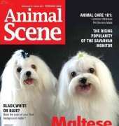 Animal Scene February 2015