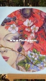 Merejka K-185 She Sleeps XSD