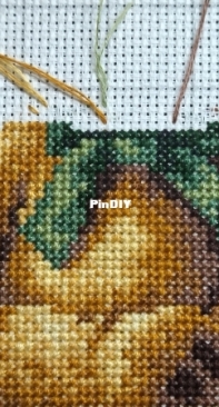 Dimention (35115) Teddy Bear Gathering