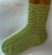 Water Garden Socks by Terry Morris