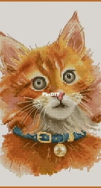 Maine Coon by Olga Maslennikova XSD