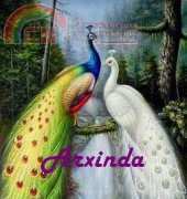 Arxinda - Peacock