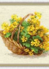 Riolis 1502 Yellow Rapeseed